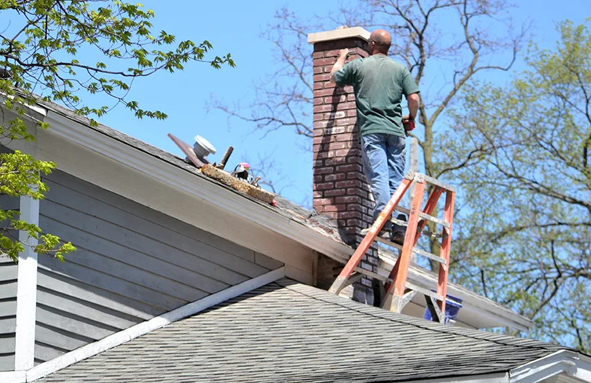Chimney & Fireplace Inspections Services in Elmira, NY